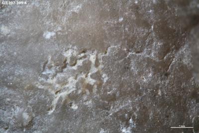 <i></i><br />Kesselaid,  m, Adavere Stage