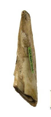 https://files.geocollections.info/large/7f/d5/7fd56f41-9ec8-4f25-bba6-5e752679eee4.jpg