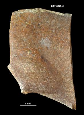 https://files.geocollections.info/large/7f/eb/7feb8d69-be89-4a4e-accd-b56e39d1f146.jpg