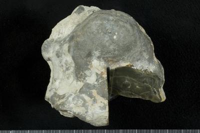 https://files.geocollections.info/large/80/0b/800b2eb9-cf3c-4b0f-b899-1acc94557c7e.jpg