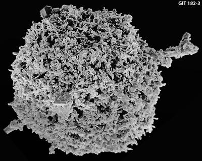 https://files.geocollections.info/large/80/6b/806b867d-1779-481b-ac7e-2ecff79b398a.jpg
