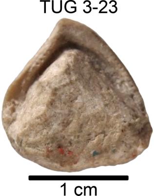 https://files.geocollections.info/large/80/6d/806df301-acf0-4d8b-a391-3c8d08cd61a5.jpg