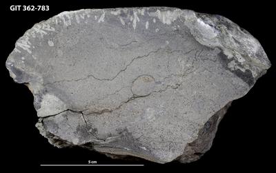 <i></i><br />Ohesaare cliff,  m, Ohesaare Stage