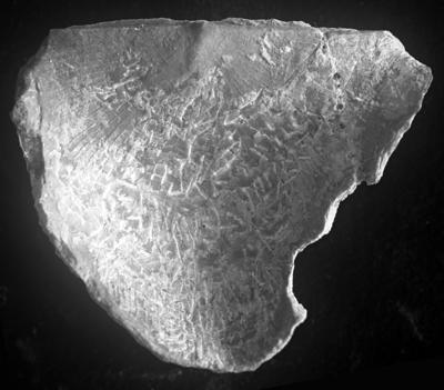 https://files.geocollections.info/large/80/b6/80b60f40-cf69-4448-a553-c58257325565.jpg