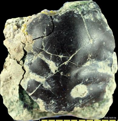 https://files.geocollections.info/large/80/bb/80bb45c9-6688-4200-b444-d0b37ef70167.jpg