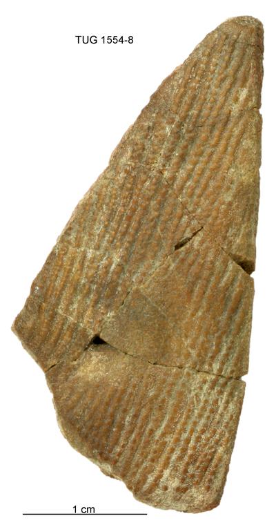 https://files.geocollections.info/large/80/fa/80fa2212-3516-4a70-9cdf-8458ca806bef.jpg