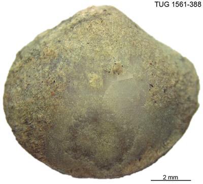 https://files.geocollections.info/large/81/0e/810e18a0-0e1e-4b90-a68c-e5f638b9fcbc.jpg