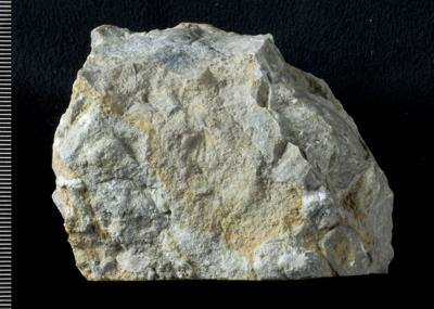 https://files.geocollections.info/large/81/53/8153f3d0-f53c-45dc-b121-98f3d1c4a869.jpg