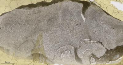 https://files.geocollections.info/large/81/ca/81ca2aa6-8d4e-4ffb-ac26-90dc97f4d60c.jpg