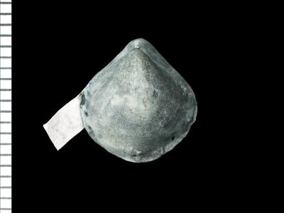 https://files.geocollections.info/large/82/02/82025a7b-40b0-4d88-88d3-6822531ddd5f.jpg