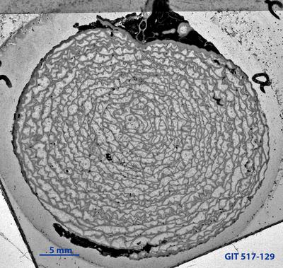 https://files.geocollections.info/large/82/05/8205cd78-b665-47f6-b536-03ff35e53050.jpg