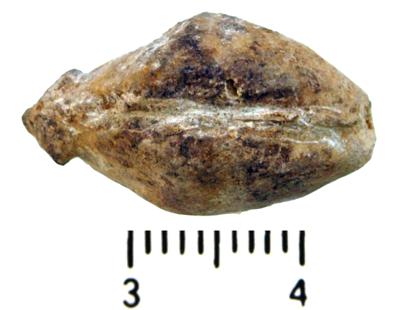 https://files.geocollections.info/large/82/09/82094b54-dd73-4e51-a826-0a49293204e2.jpg