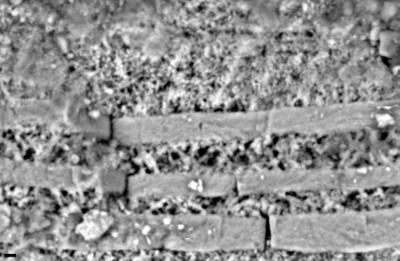 https://files.geocollections.info/large/82/20/82205fc5-0bad-4121-92c7-f275062925ef.jpg