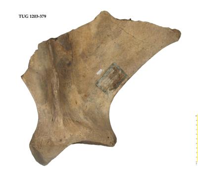 https://files.geocollections.info/large/82/62/82624cf7-5061-4c3f-a65d-97118efc11f0.jpg
