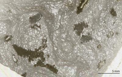 https://files.geocollections.info/large/83/28/8328e19d-b4f2-432d-8da6-fc8aa80d20bc.jpg