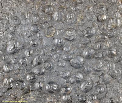 https://files.geocollections.info/large/83/c6/83c61098-43b2-42fb-bfd1-b57a7a797775.jpg