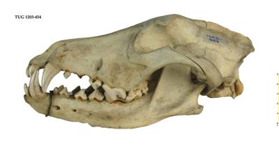 https://files.geocollections.info/large/83/f0/83f0866f-cd78-4e16-8438-3992364d29c8.jpg