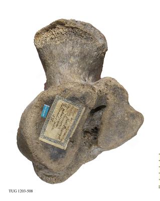 https://files.geocollections.info/large/84/52/84524d9f-0590-49f0-9fa0-2c315fb500a8.jpg