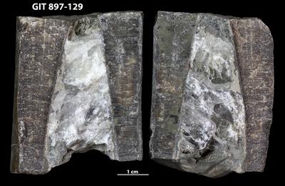 https://files.geocollections.info/large/84/cd/84cdcfd7-2b0d-4317-889a-e06f77b127d7.jpg