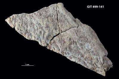 https://files.geocollections.info/large/85/1f/851f36e5-cbee-4dfc-8d4f-8dd6998b52f4.jpg