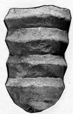 https://files.geocollections.info/large/85/8a/858ad467-6e77-4292-87a5-e34a472ed21d.jpg