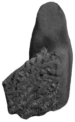 https://files.geocollections.info/large/85/8d/858df28a-cef9-444c-a343-7a15eeb7c8d9.jpg
