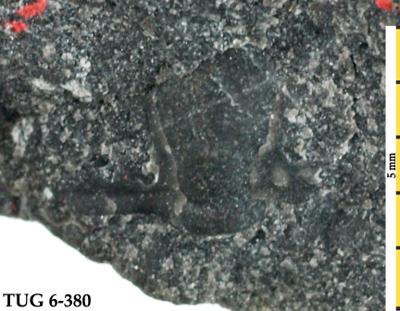https://files.geocollections.info/large/85/d2/85d24889-5e78-4db4-a796-be33c45de8fc.jpg