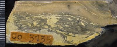 https://files.geocollections.info/large/86/00/86004016-4eb4-468e-88b1-3085ec35fd73.jpg
