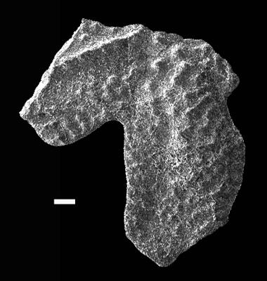 https://files.geocollections.info/large/87/39/8739aff8-2aa9-4bcc-949b-69c16cddd91b.jpg