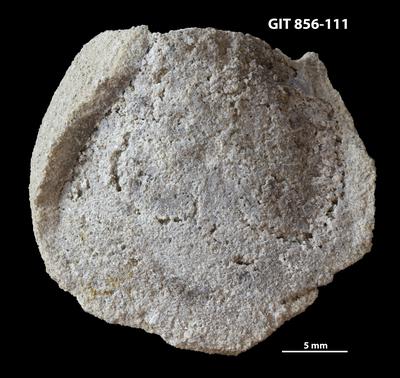 https://files.geocollections.info/large/87/59/8759ac29-f45d-49de-9895-dc0f66316daa.jpg