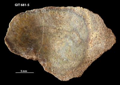 https://files.geocollections.info/large/87/7e/877ebf9e-f613-4fa0-9cd8-b07f0c2cea8b.jpg