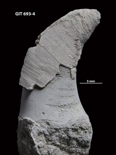 https://files.geocollections.info/large/87/a5/87a594ac-6fe7-42d6-88df-eed4174eea63.jpg