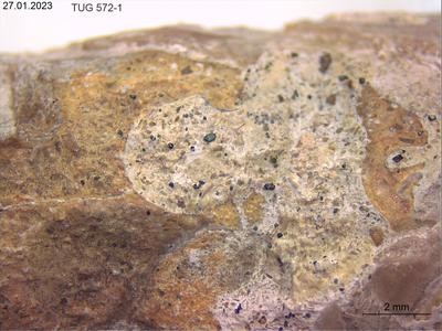 <i></i><br />Kiiu (near to Peterburi road),  m, Kunda Stage