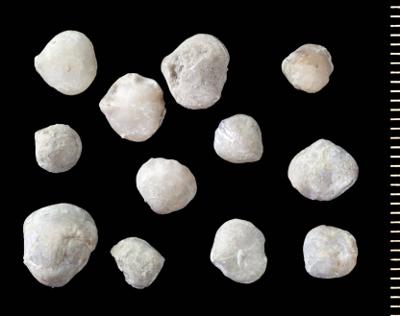 https://files.geocollections.info/large/88/2a/882a994a-c287-4a4a-8a70-85dd2e253437.jpg
