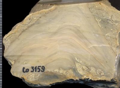 https://files.geocollections.info/large/88/be/88bec756-3189-4194-ad21-c5e1c1142721.jpg