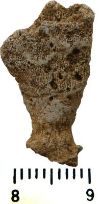 https://files.geocollections.info/large/89/26/8926ea55-c5b6-4184-bcdf-be80ae3f2c8e.jpg
