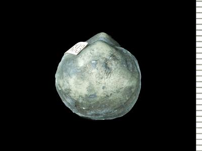 https://files.geocollections.info/large/8a/07/8a07c9bb-9e59-481e-bd85-6aa02ce56e46.jpg