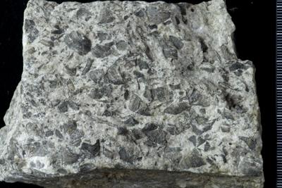 https://files.geocollections.info/large/8a/d4/8ad4eb4b-cdb0-4a12-a3dc-a6260964fe47.jpg