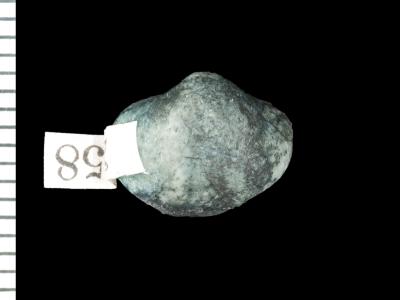 https://files.geocollections.info/large/8a/fb/8afb1eec-d5ed-4e28-9a29-ca2bc182f8dd.jpg