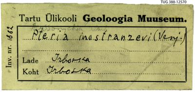 https://files.geocollections.info/large/8b/23/8b23b542-40ce-4e8e-9f98-4c9028733f9b.jpg