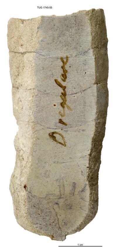 https://files.geocollections.info/large/8b/65/8b65d03e-bc36-4f2b-b6ae-6d1ba2608b86.jpg