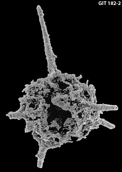 https://files.geocollections.info/large/8b/6c/8b6c0f2e-65e8-4052-8a8a-856794e9db69.jpg
