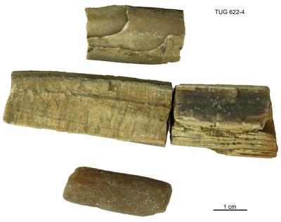https://files.geocollections.info/large/8b/a4/8ba4efce-7407-477d-80af-097541aef9ab.jpg
