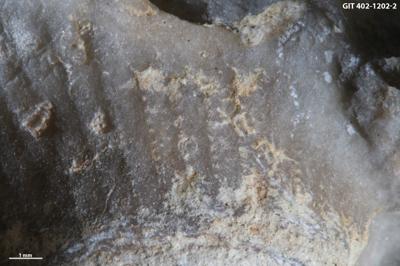 <i></i><br />Ilpla alvar,  m, Kuressaare Stage