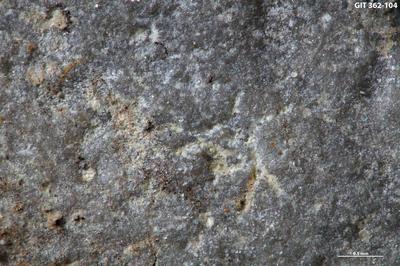 <i></i><br />Päärdu outcrop,  m, Adavere Stage