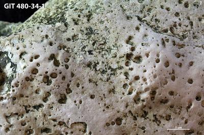 <i></i><br />Hosholm shore,  m, Pirgu Stage