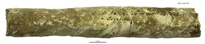 https://files.geocollections.info/large/8d/ec/8dec5fc0-fd55-4edc-bc32-addc54288304.jpg