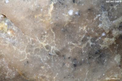 <i></i><br />Kesselaid,  m, Adavere Stage