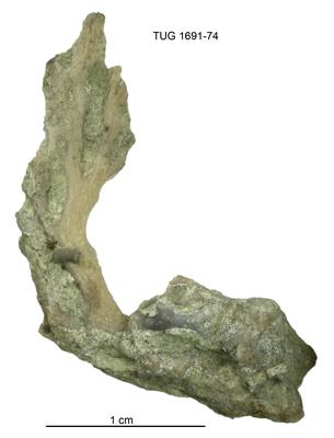 https://files.geocollections.info/large/8e/8e/8e8eb575-1739-4836-a518-5fee0adcce4c.jpg