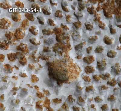 https://files.geocollections.info/large/8e/e4/8ee40ed1-9bbb-4f33-9c64-e78822ffd951.jpg